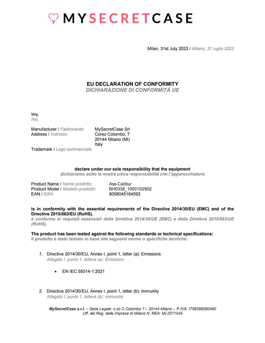 Dichiarazione di conformità 1