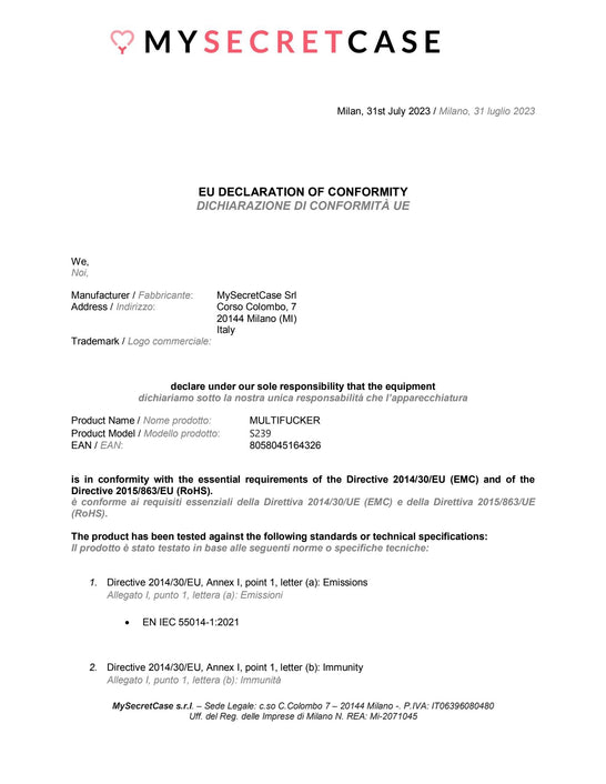 Dichiarazione di conformità 3