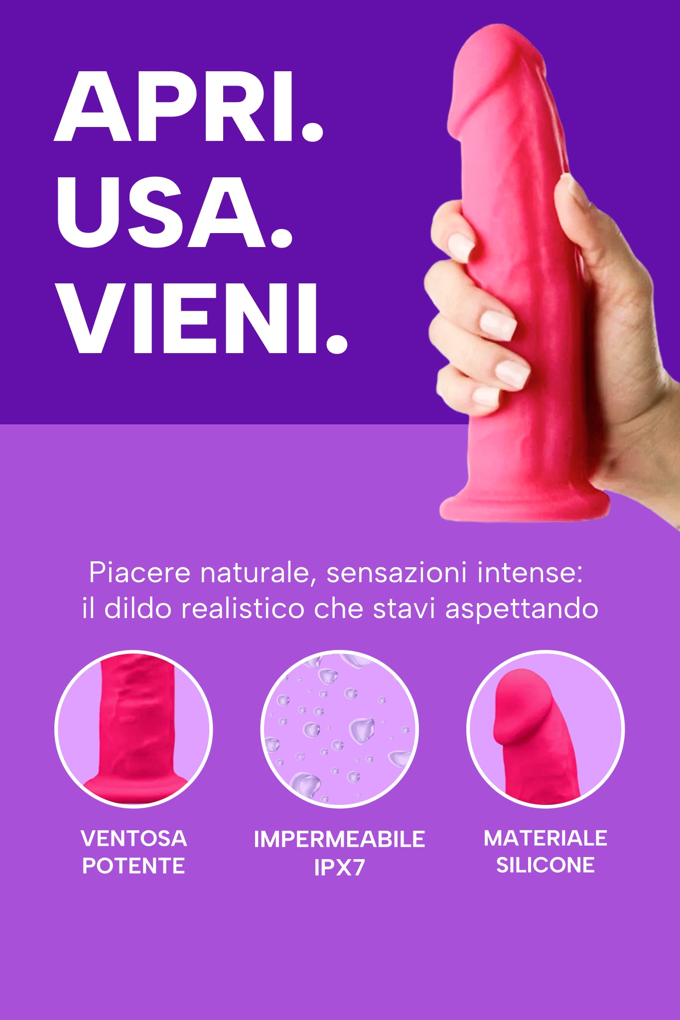 mysecretcase-dildo-ahhrbitro-info.jpg