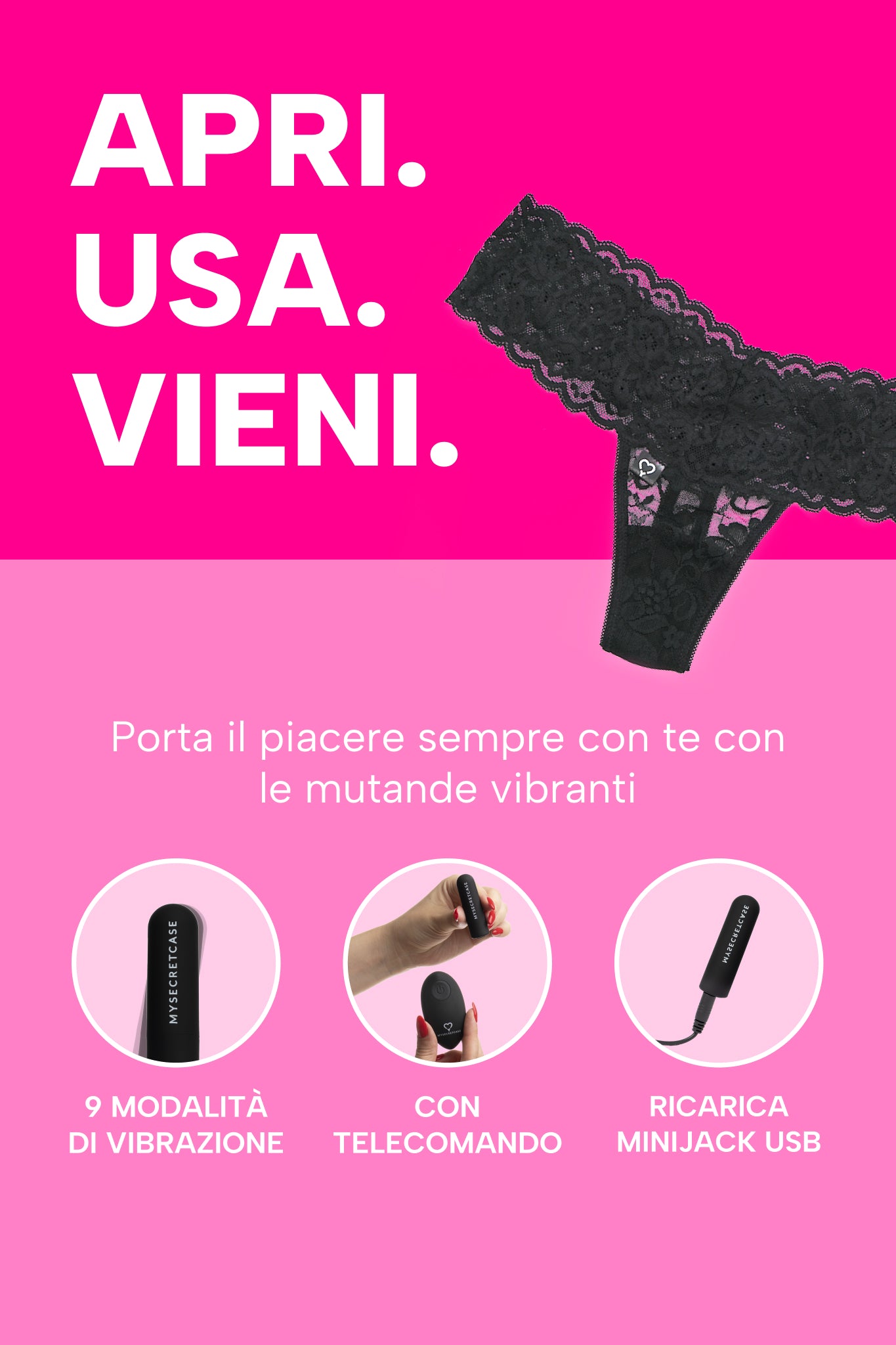 mysecretcase-my-secret-panty-info.jpg