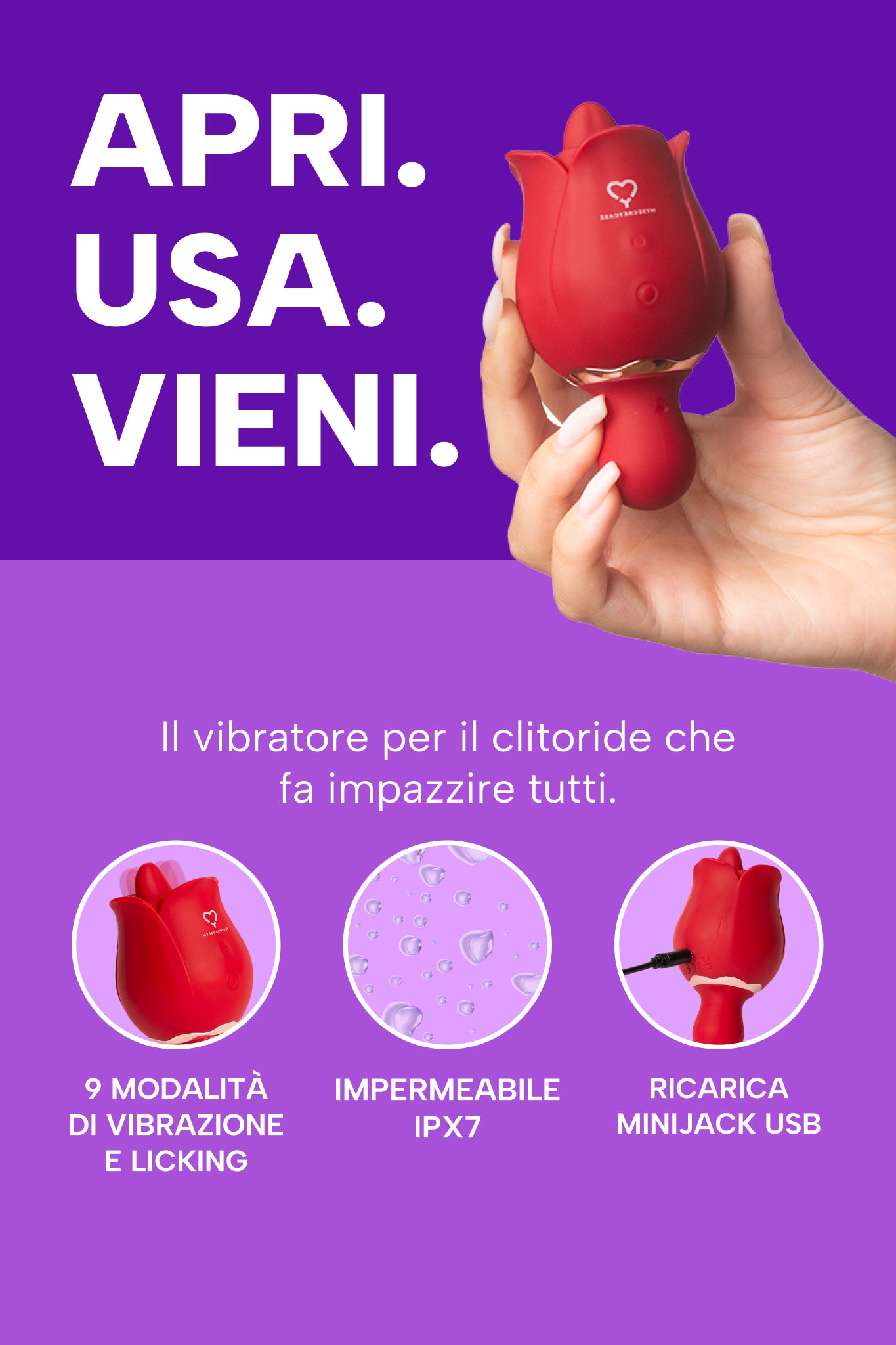 mysecretcase-rossana-info.jpg