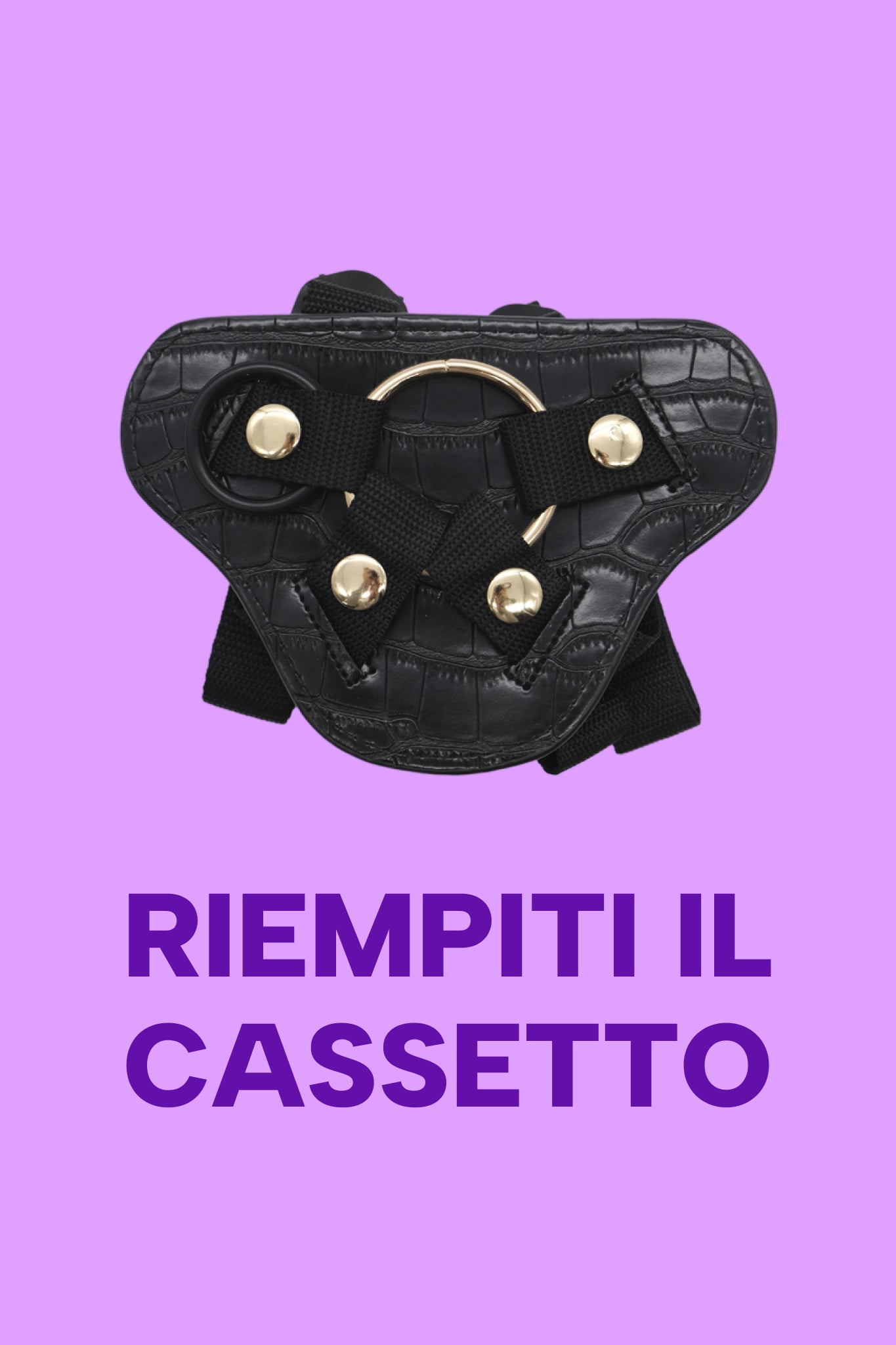 mysecretcase-strap-on-harnessto-claim.jpg