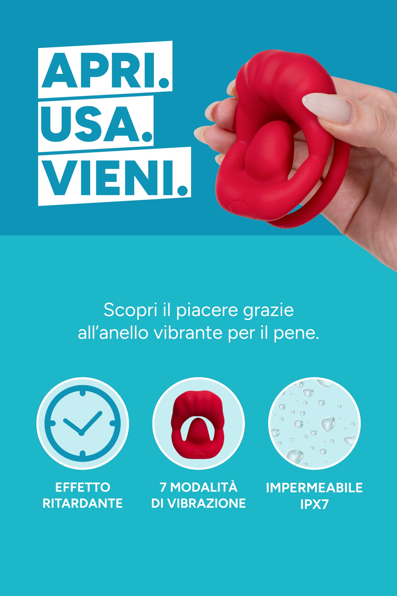 mysecretcase-anello-pene-sfizioso-info-mobile.jpg