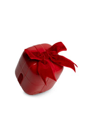 Bacio di Dama - Vibratore Clitoride MySecretCase