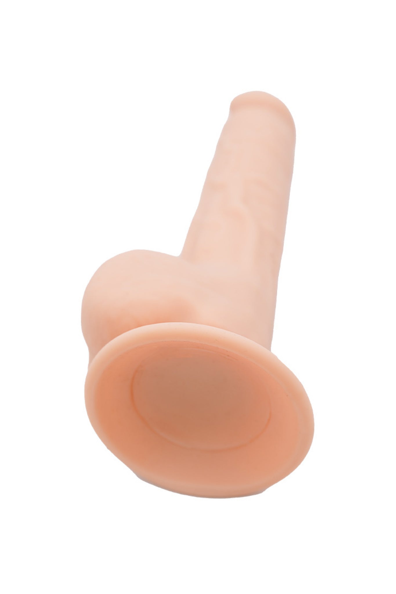 Sergio T'amos - 24 cm