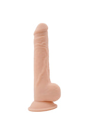 Sergio T'amos - 24 cm