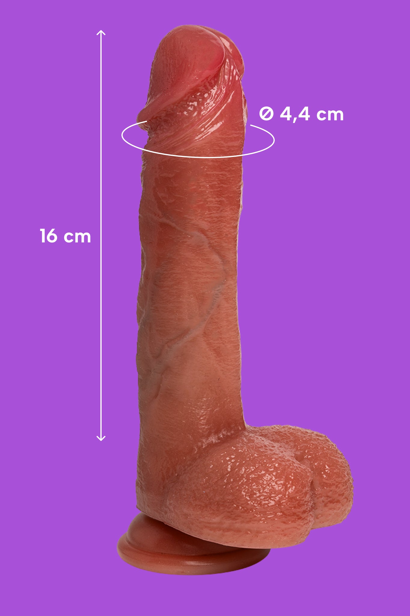 Filiberto