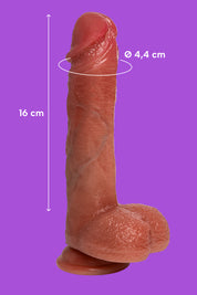 Filiberto