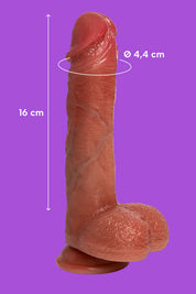 Filiberto (7)