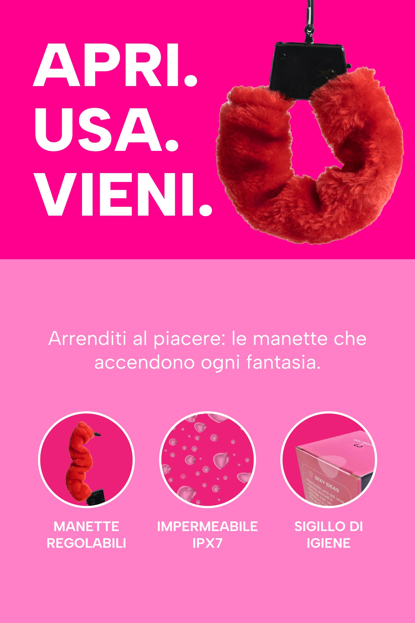 mysecretcase-manette-sei-in-arresto-info.jpg