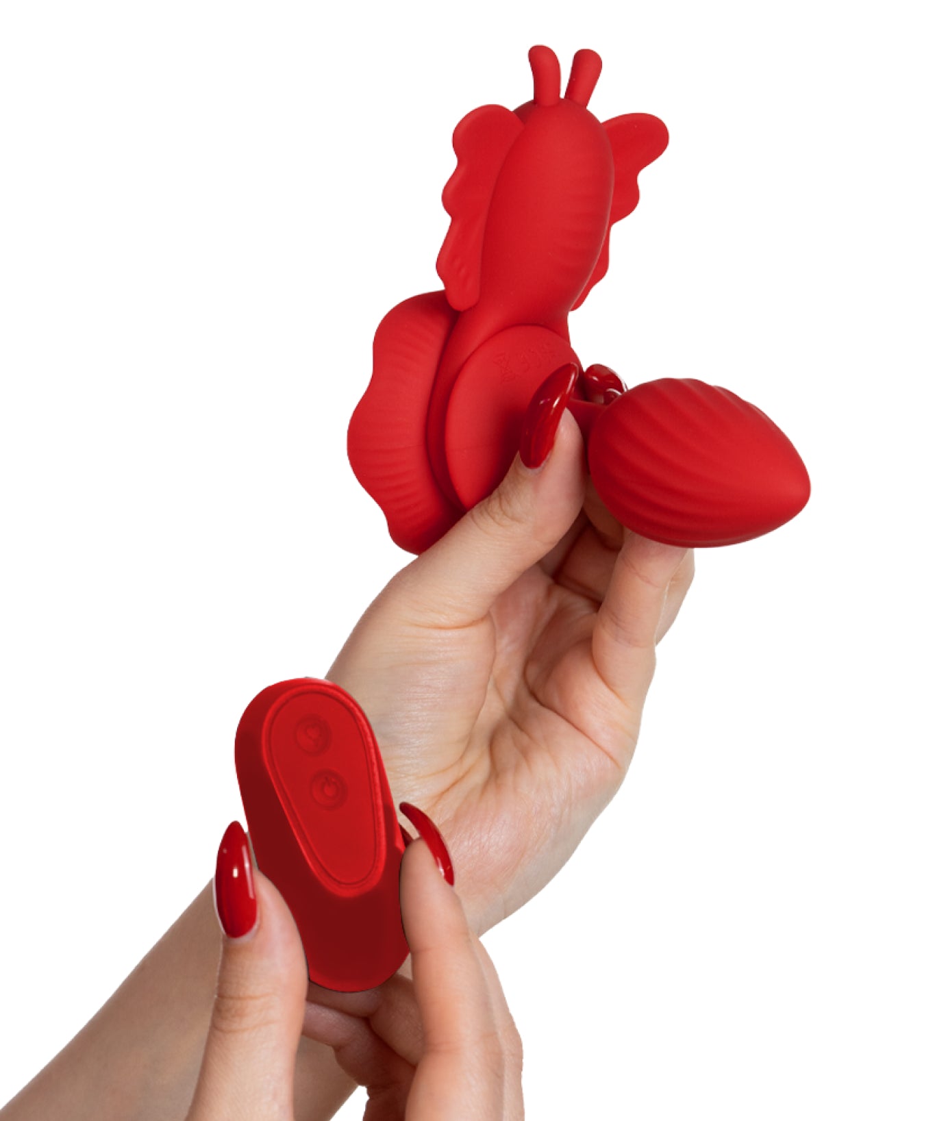 mysecretcase-plug-vibrante-anello-pene-farfallina-mano.jpg