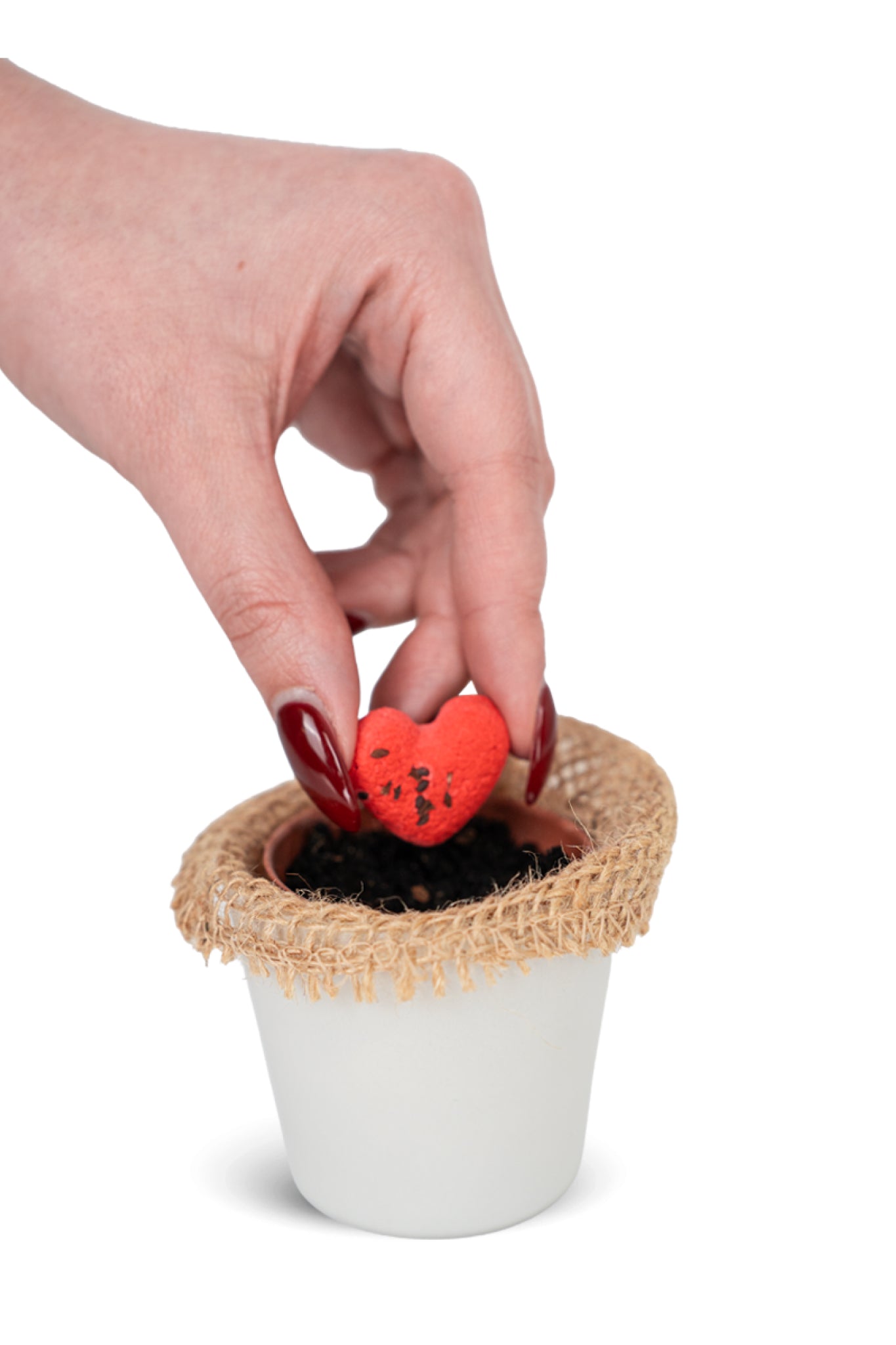 Semi d'Amore - Giochi erotici MySecretCase