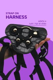 Harnessto