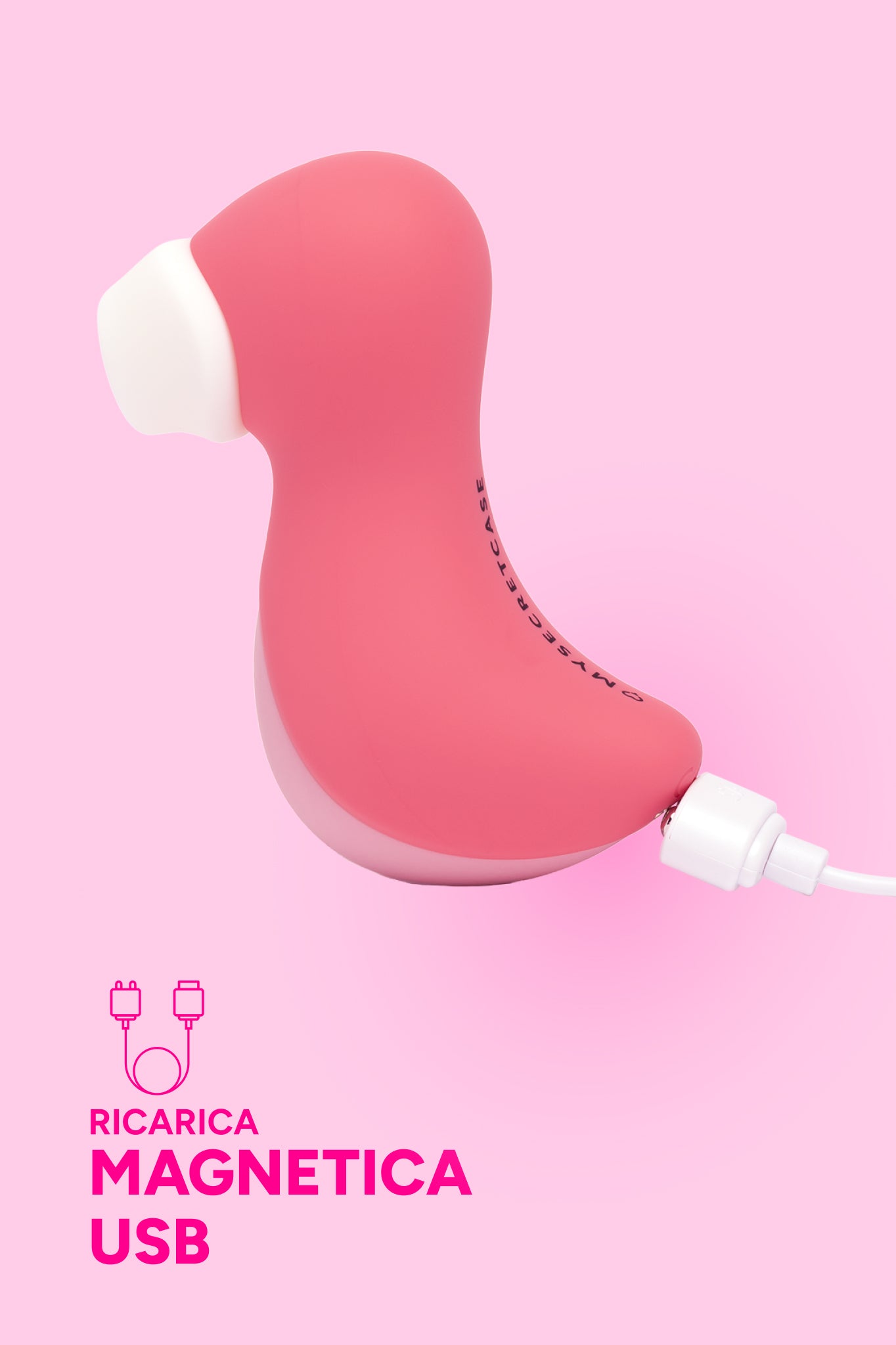 Flamingo (7)
