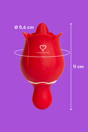 Rossana - Vibratore Clitoride MySecretCase