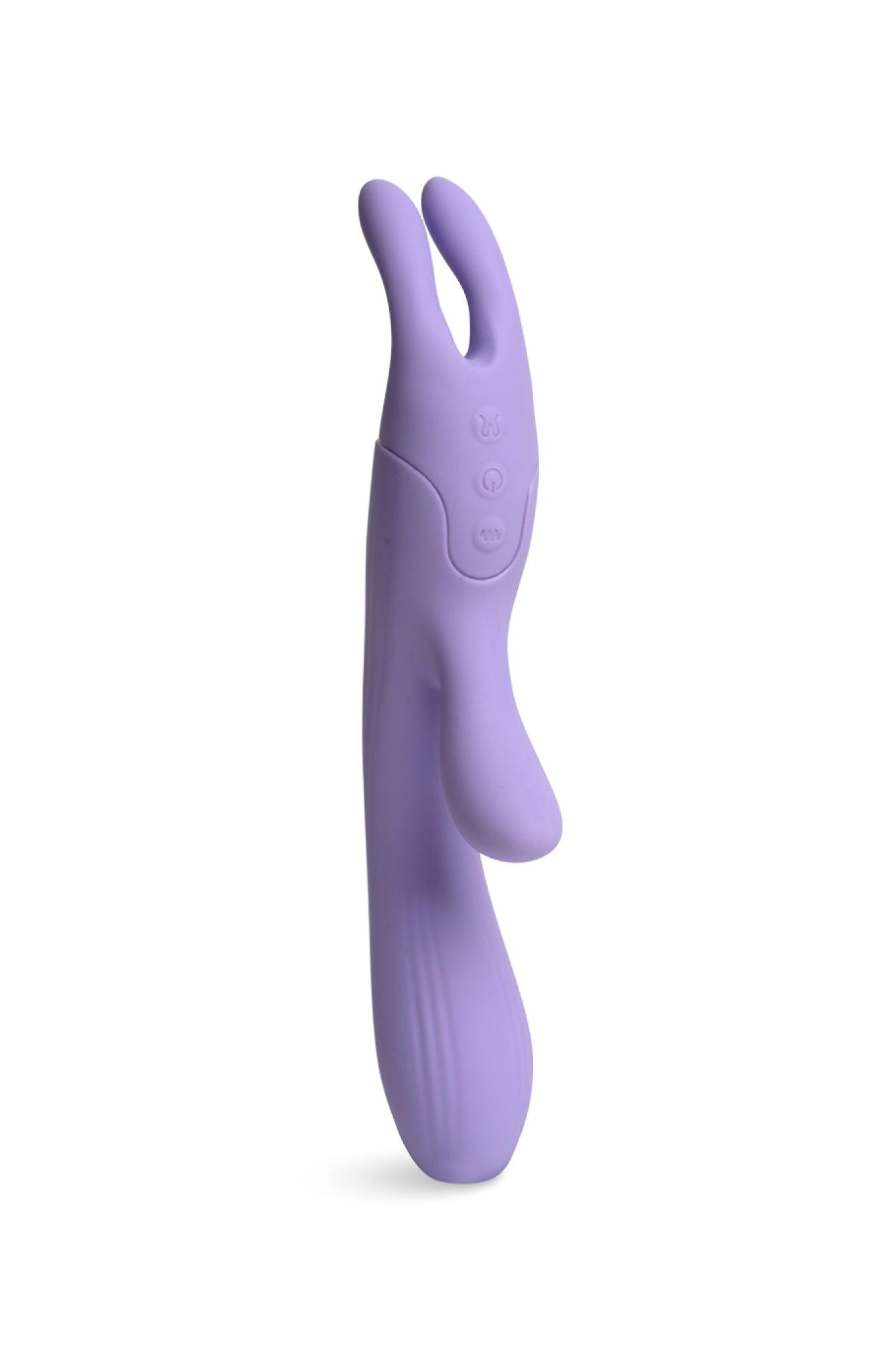 Lavanda