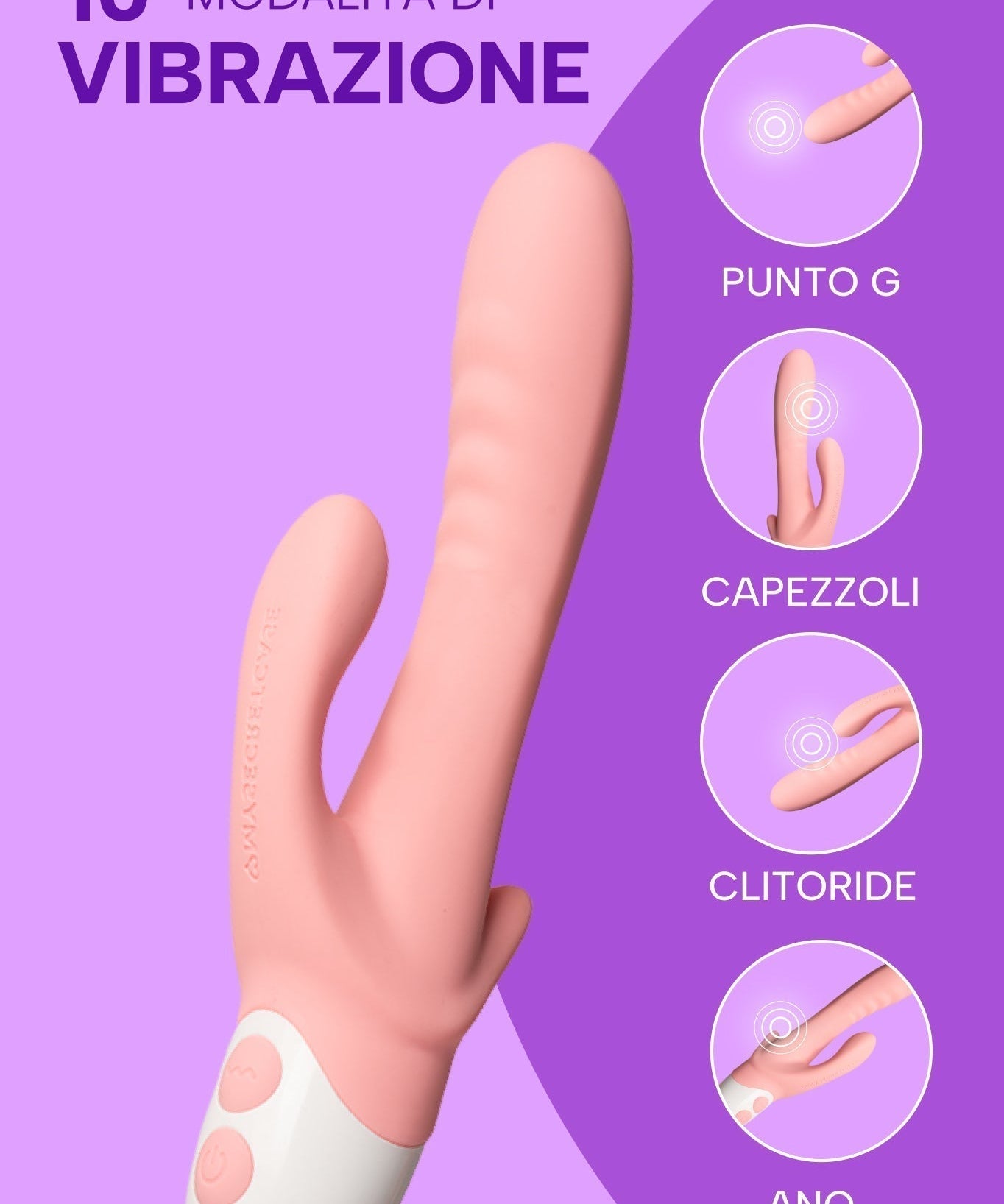 Coniglietto Schizzetto (3)