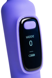 Digiwand