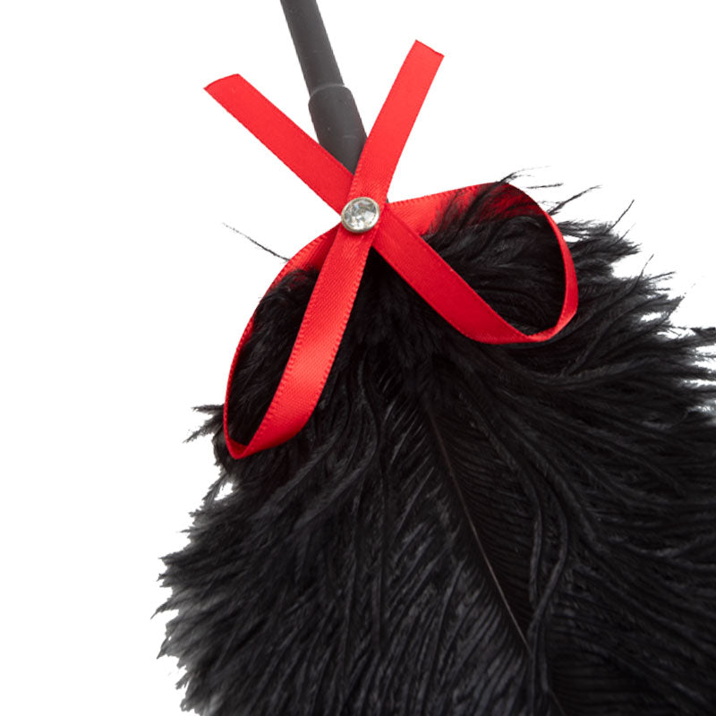 Birdie tickle - Frustini e Paddle Osa