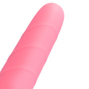 Ghiacciulo - Dildo Classico MySecretCase