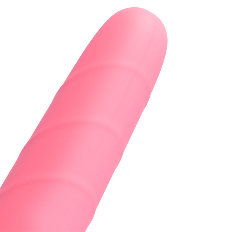 Ghiacciulo - Dildo Classico MySecretCase
