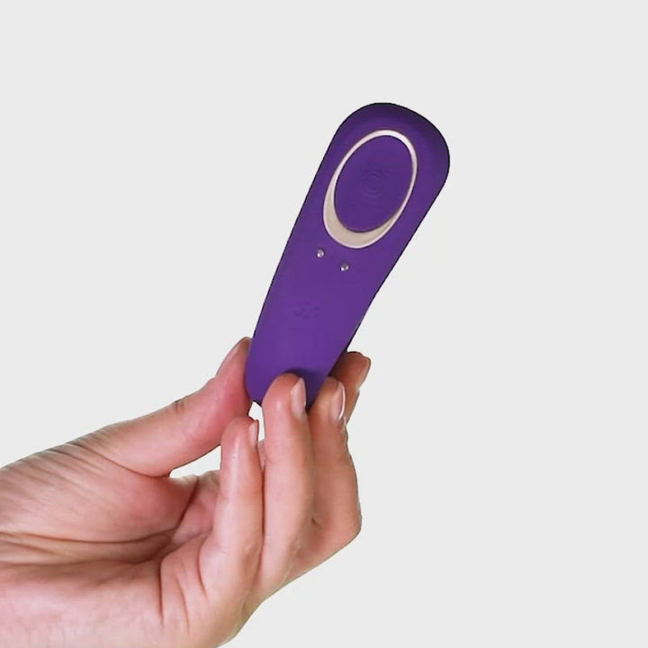 Partner Toy