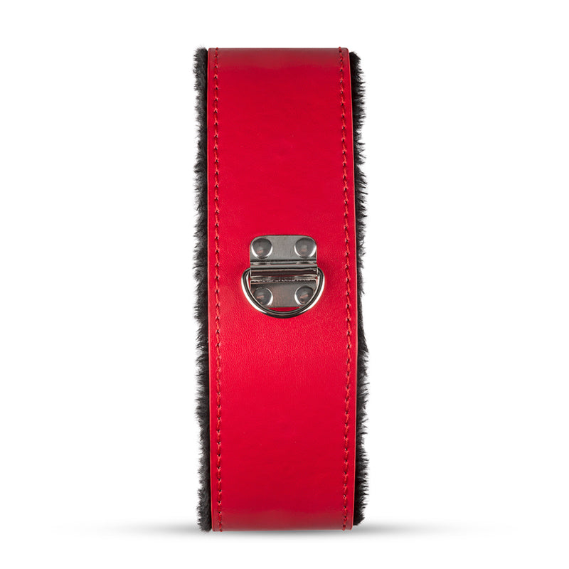 Red Dragon - Kit Bondage Secret Pleasure Chest