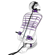 She Bari - viola - Kit Bondage Osa