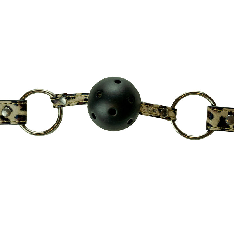Master & Slave - Kit Bondage Tease