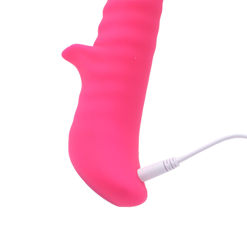 Honey Bear - Rotante