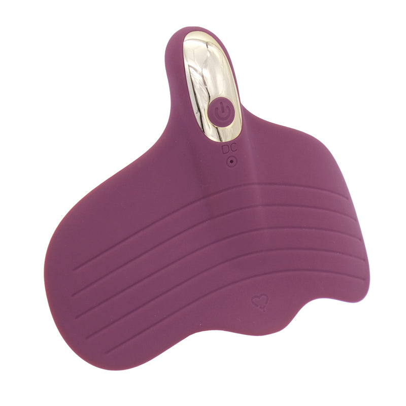 Fly High - Vibratore Multifunzione MySecretCase Classic