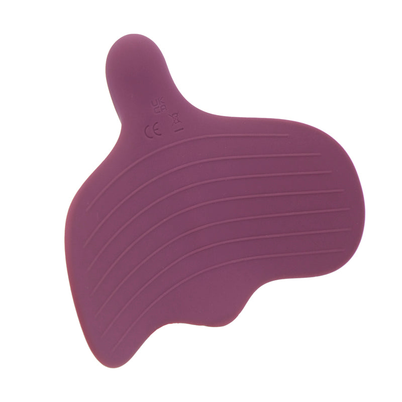 Fly High - Vibratore Multifunzione MySecretCase Classic