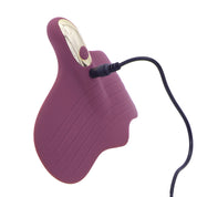 Fly High - Vibratore Multifunzione MySecretCase Classic