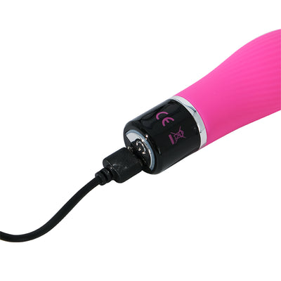 Lil'Swirl Vibrator