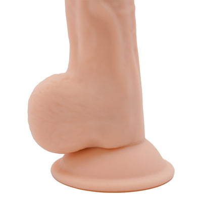 L'Attaccante - 24 cm